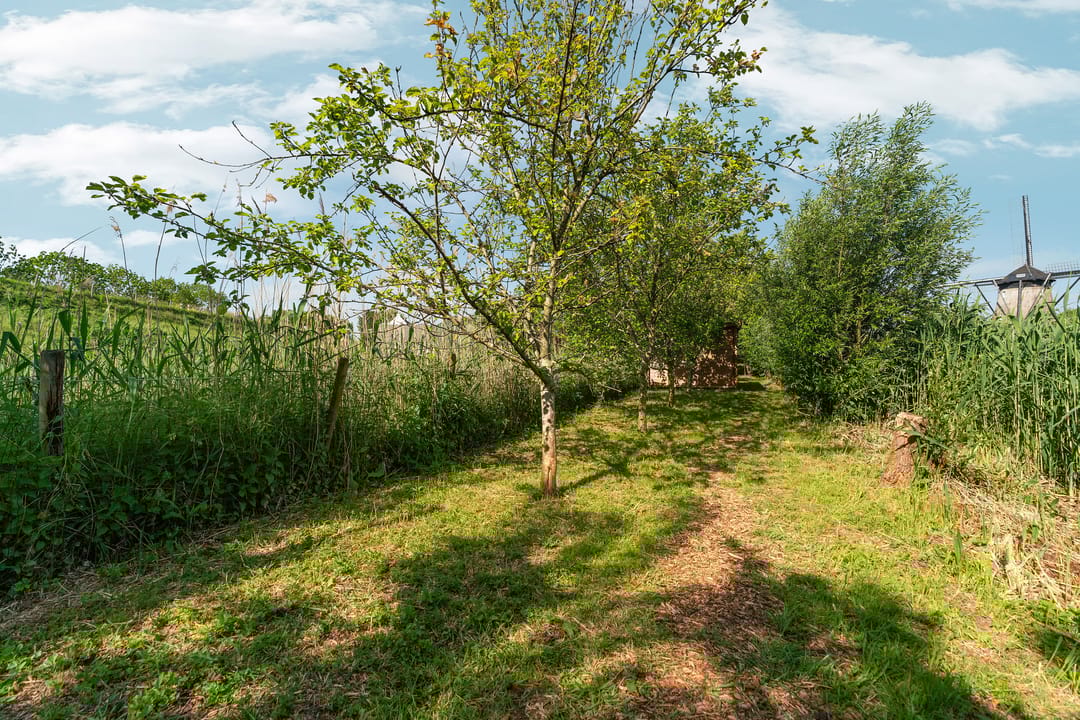 Photo 58 of Meidijk 17