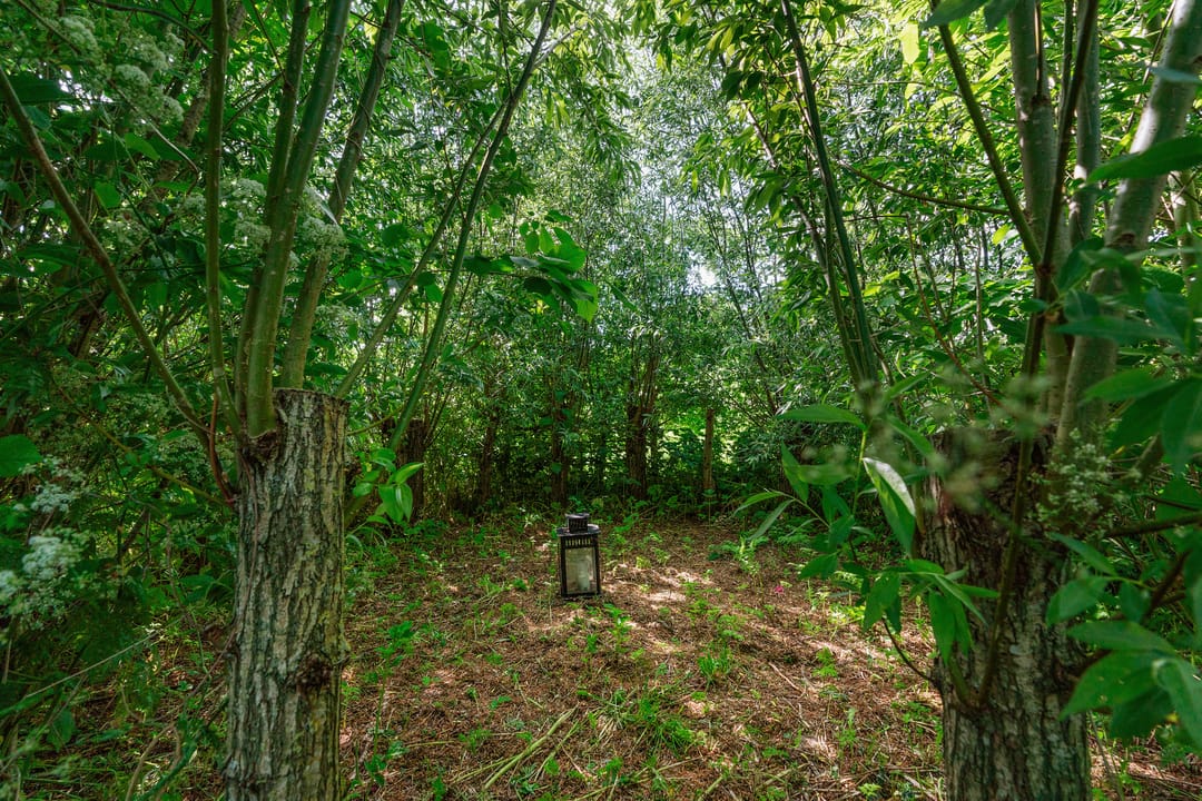 Photo 61 of Meidijk 17