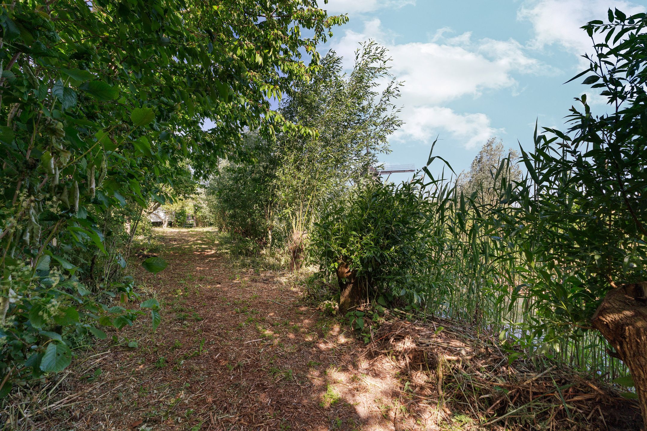 Photo 60 of Meidijk 17