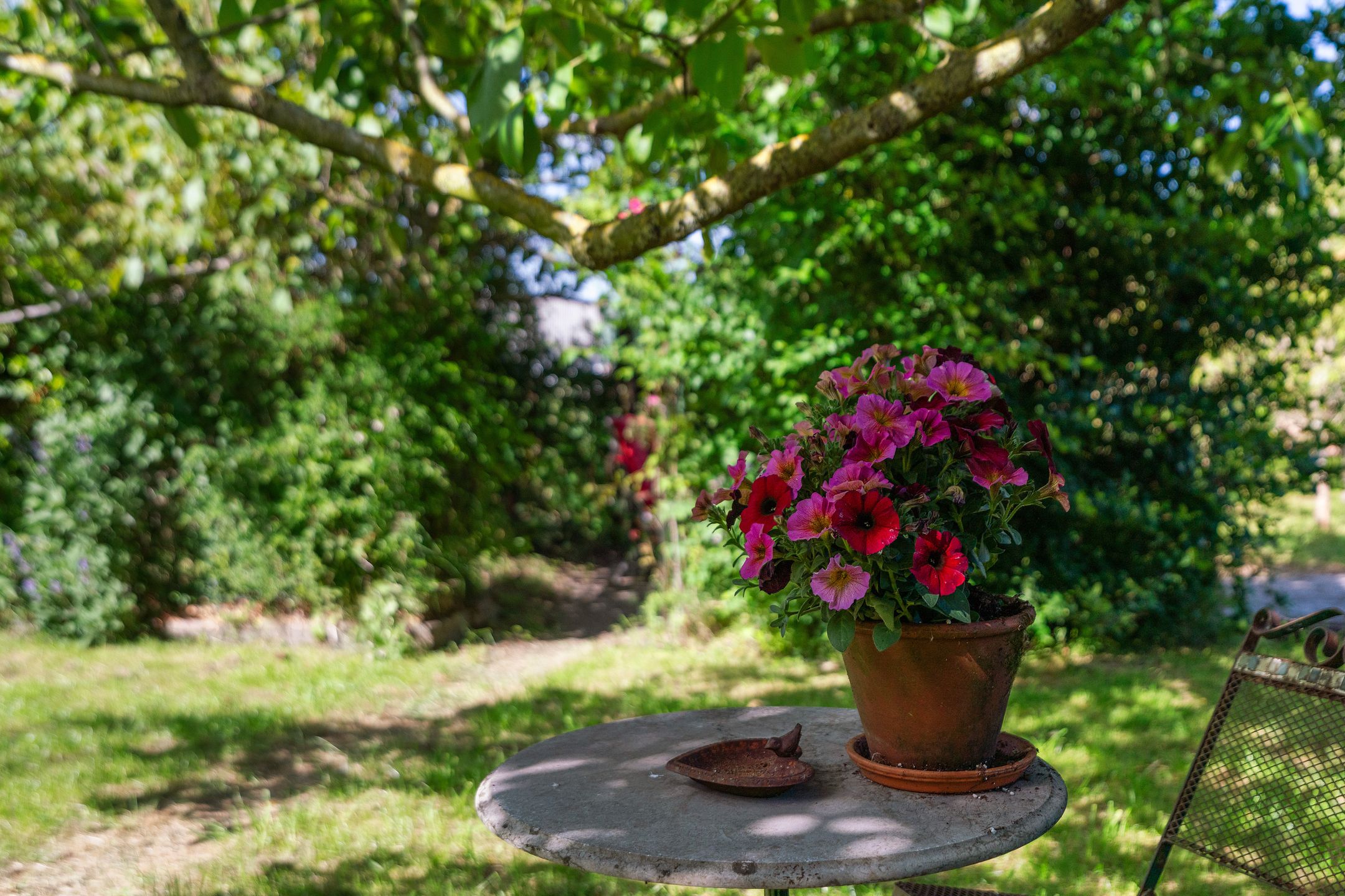 Photo 54 of Meidijk 17