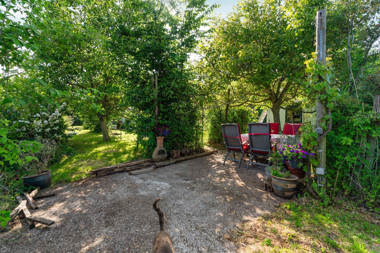 Photo 65 of Meidijk 17