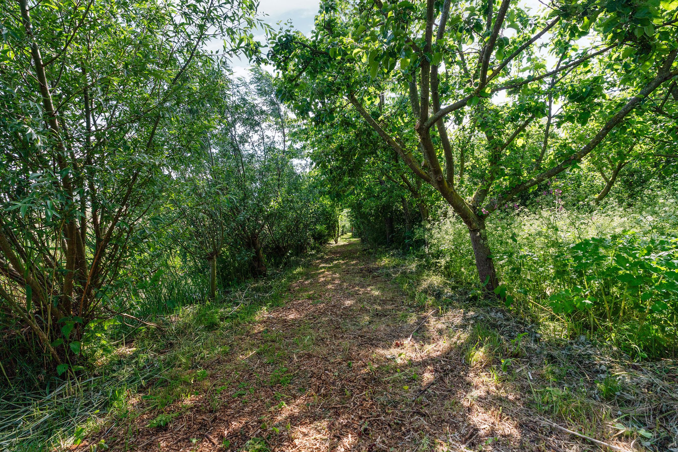 Photo 63 of Meidijk 17