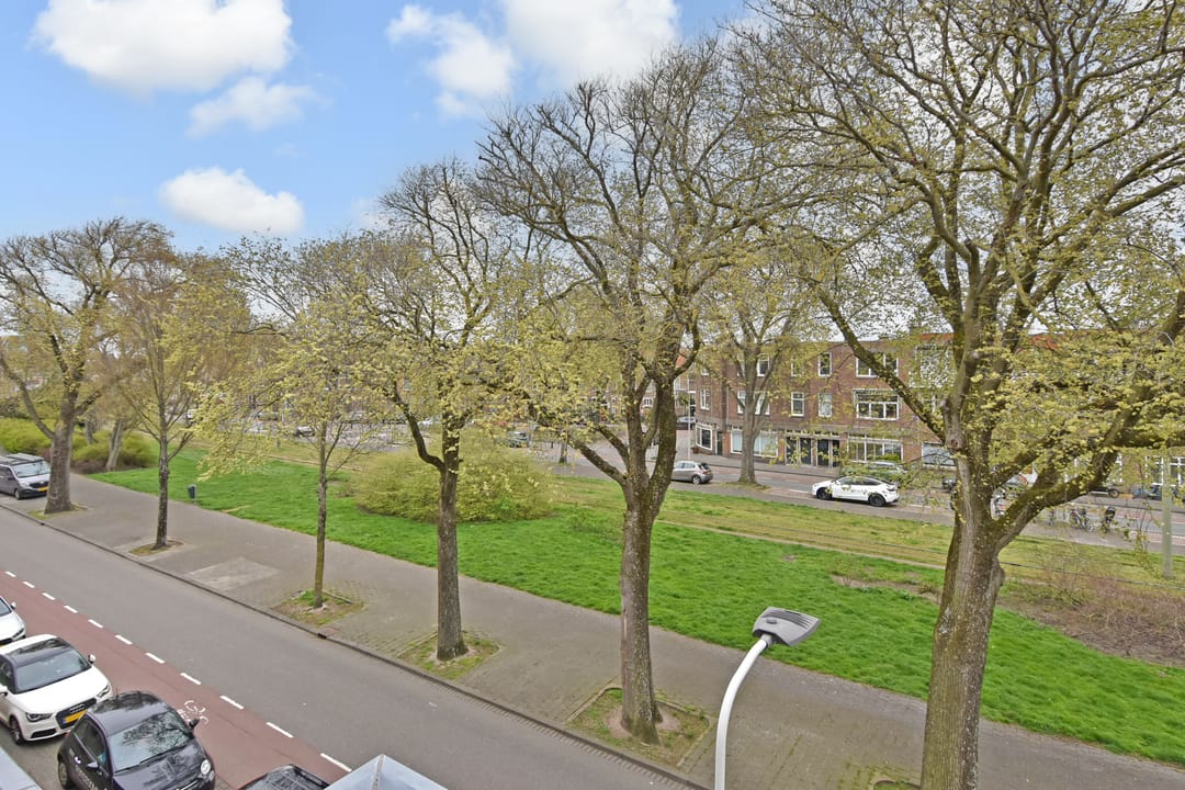 Foto 53 van Van Boetzelaerlaan 226