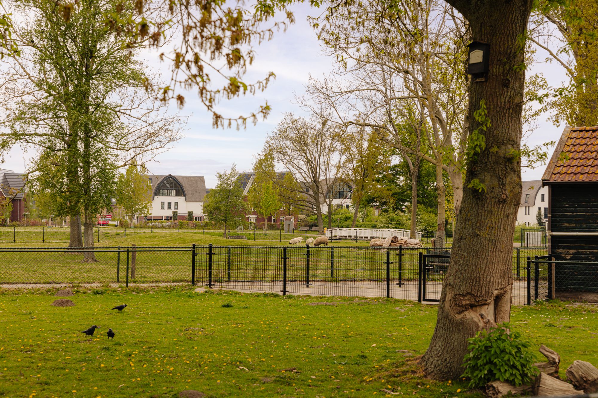 Foto 36 van dokter Sabelstraat 14