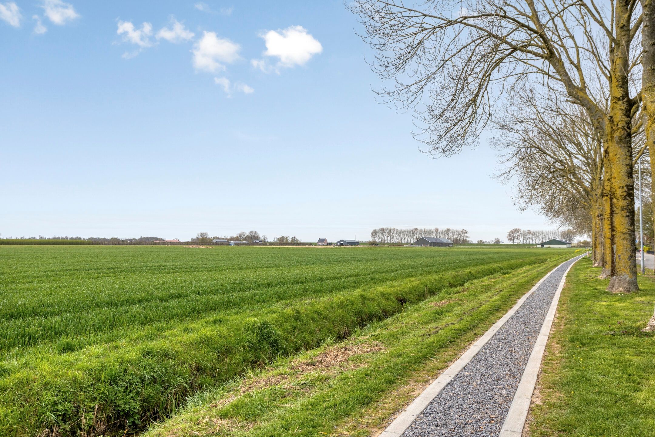 Photo 33 of Elzenstraat 33