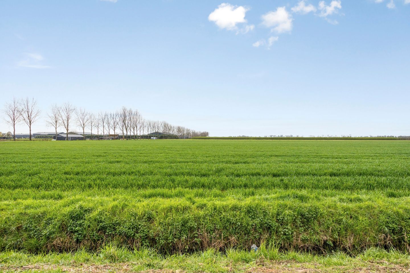 Photo 34 of Elzenstraat 33