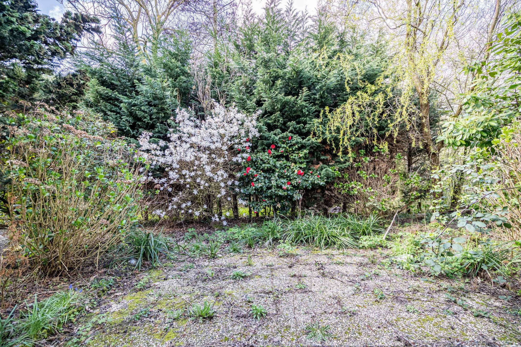 Foto 9 van Fokkerstraat 52