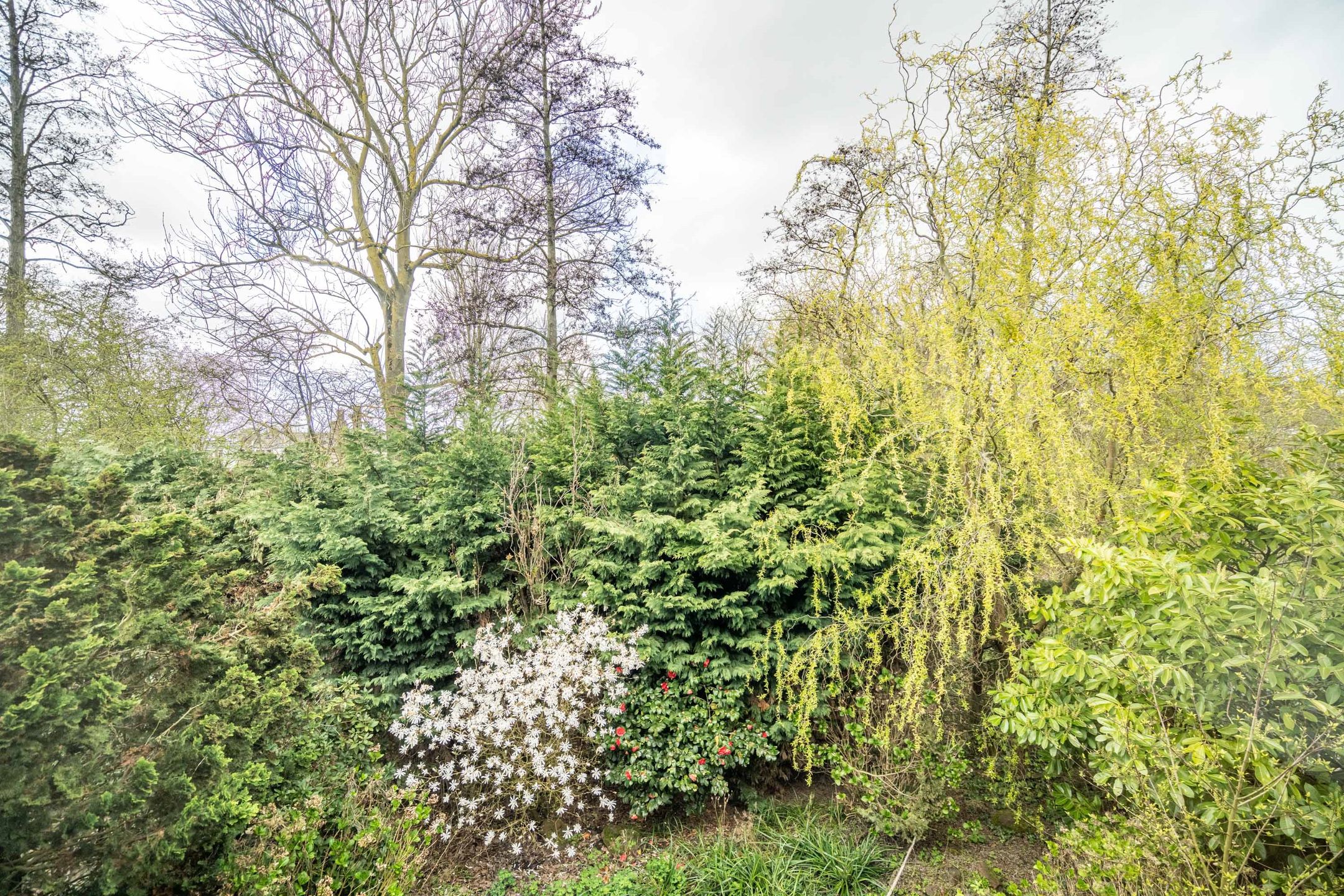 Foto 36 van Fokkerstraat 52