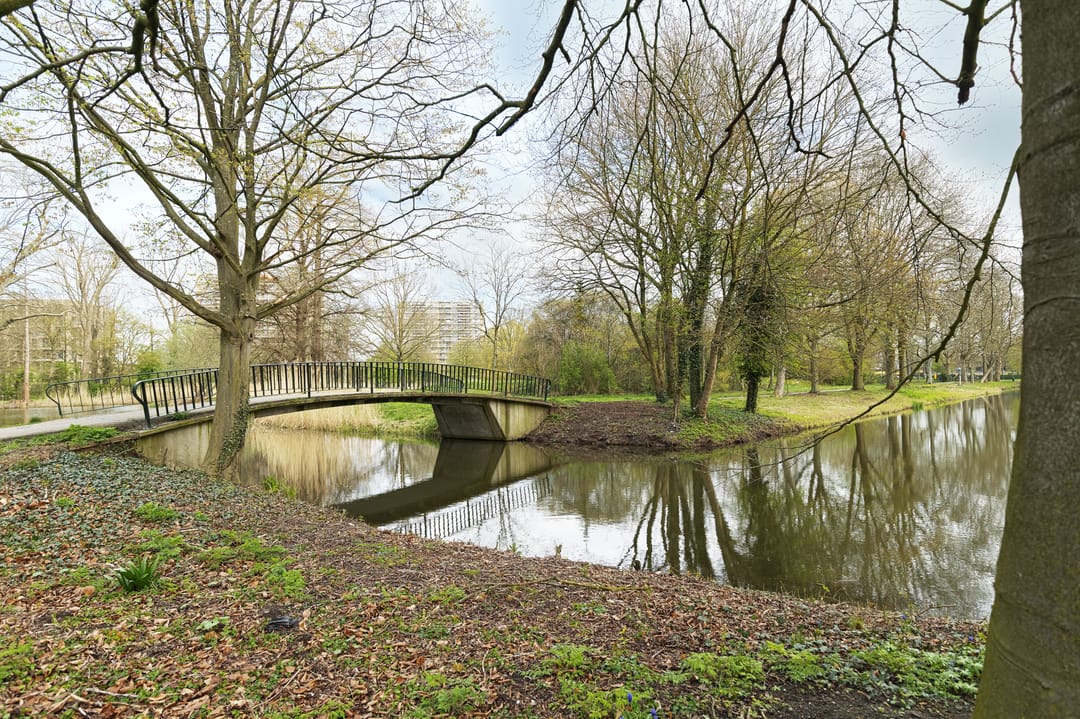 Foto 11 van Jhr. De Savornin Lohmanstraat 187