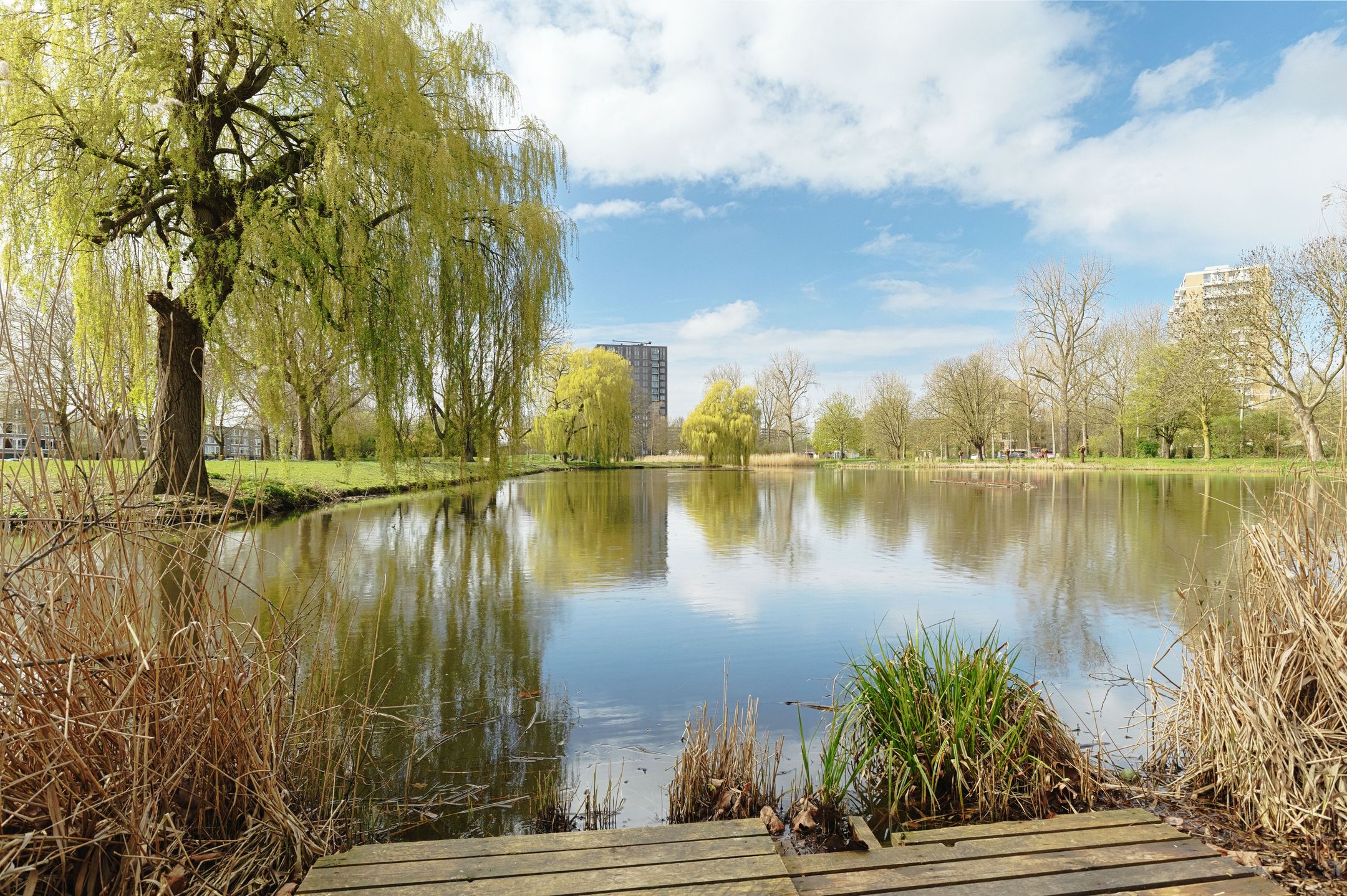 Foto 12 van Jhr. De Savornin Lohmanstraat 187