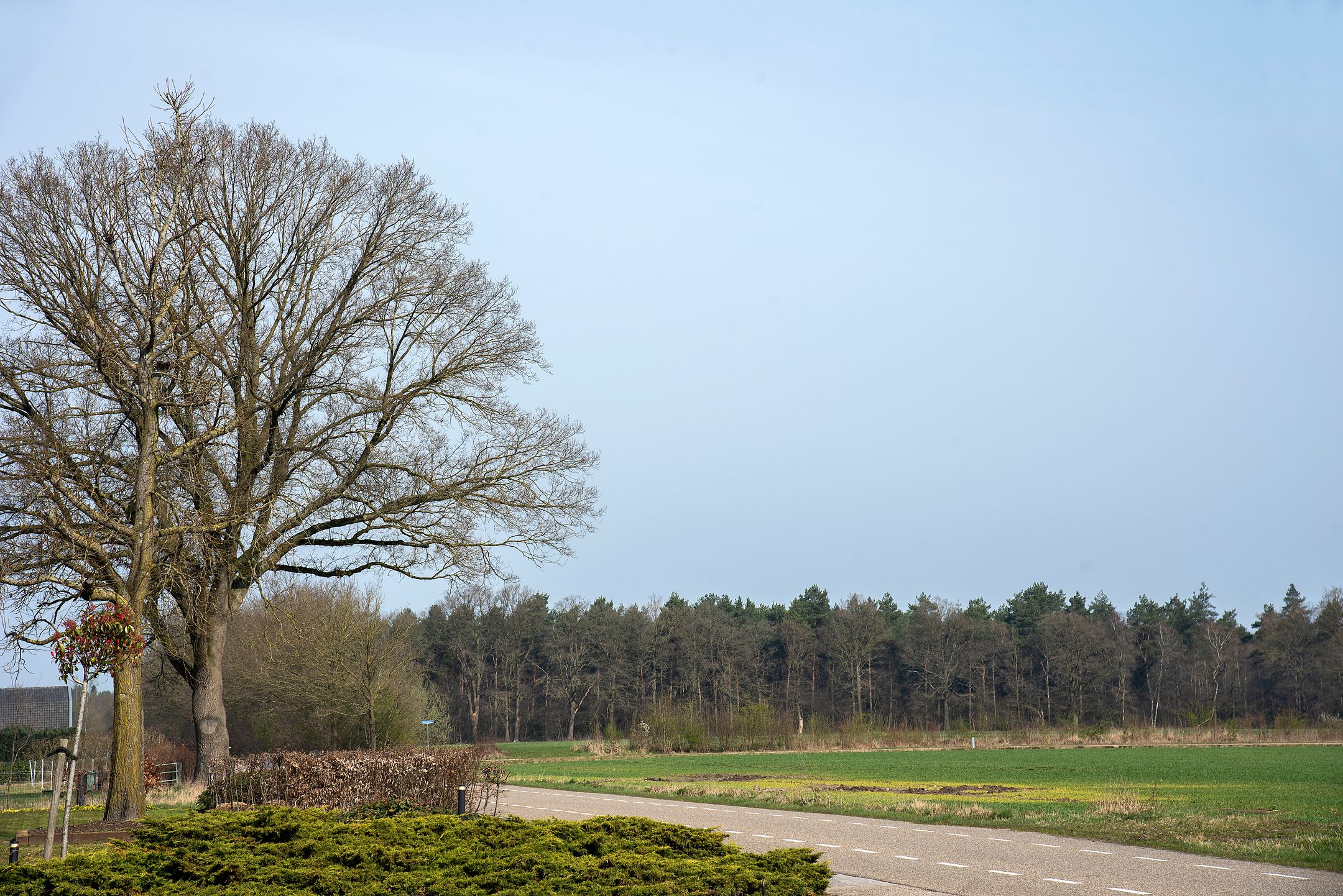 Foto 45 van Langenhorsterweg 18-B