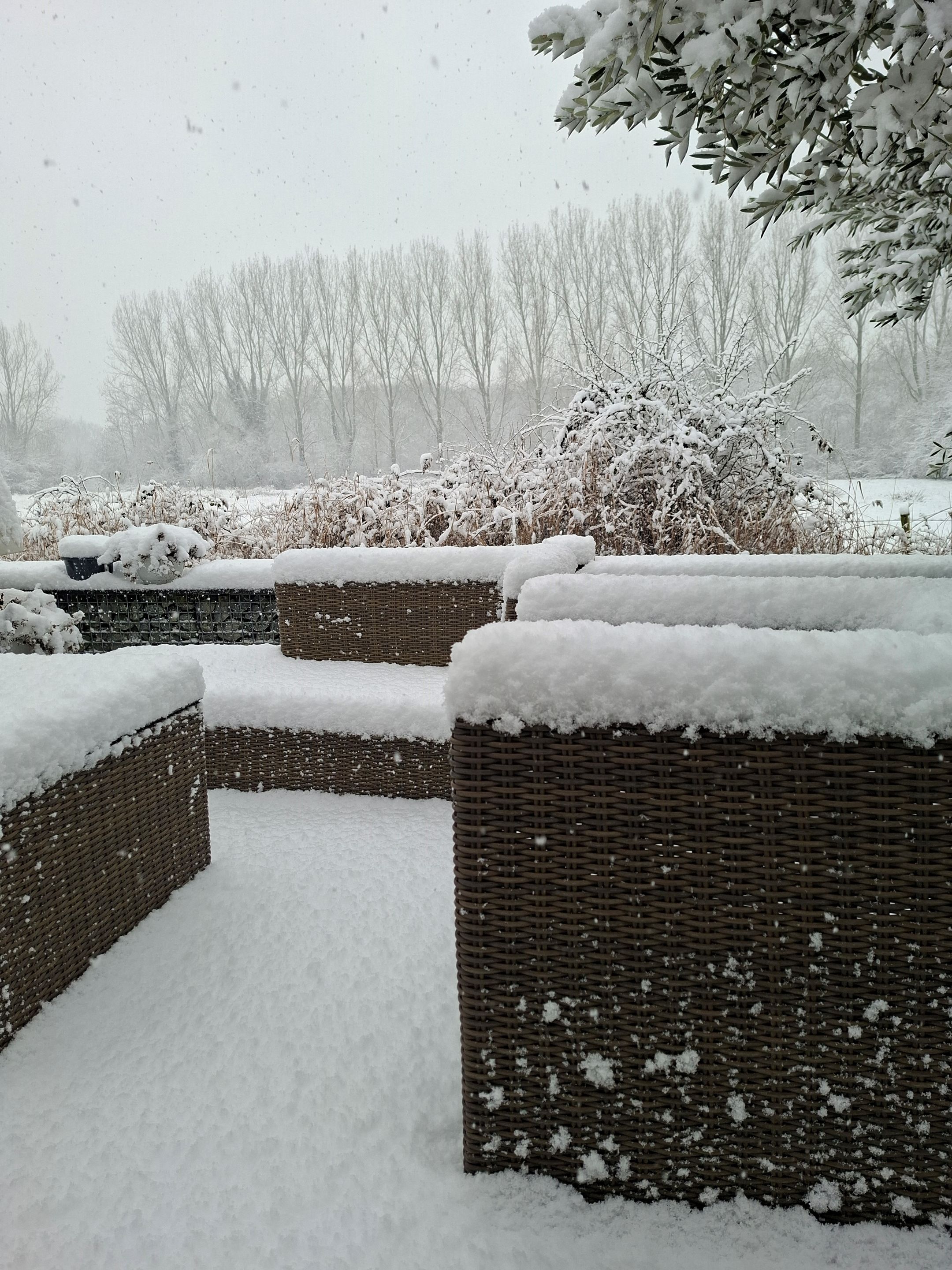 Photo 72 of Boomdijk 7