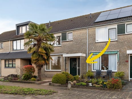 Papenhoeflaan thumbnail