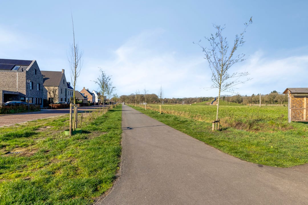 Photo 58 of Leemsbroek 6