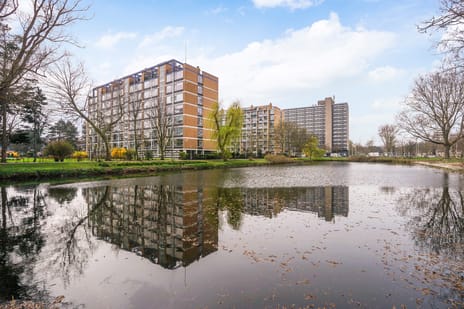 Louis Davidsstraat thumbnail