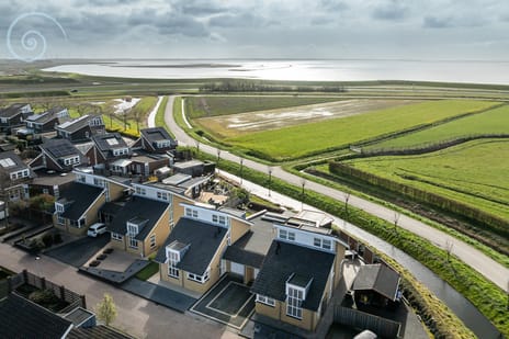 Springert 4 tertiary image