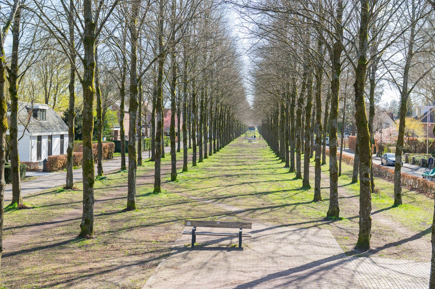 Foto 49 van Burglaan 45