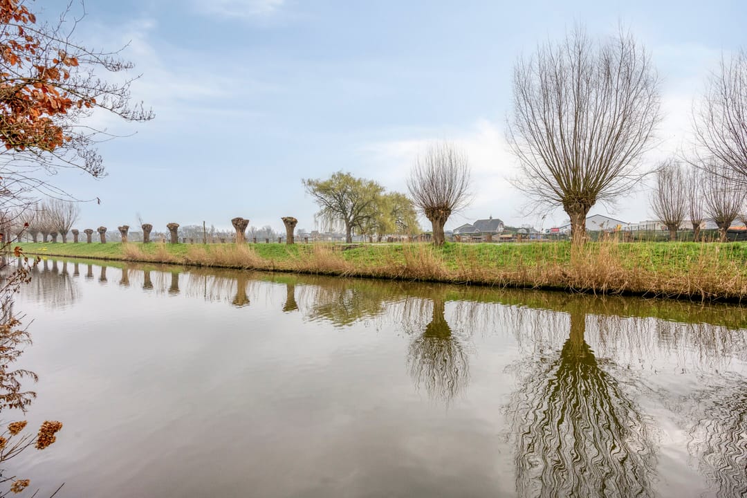 Foto 37 van Goudenregenzoom 184