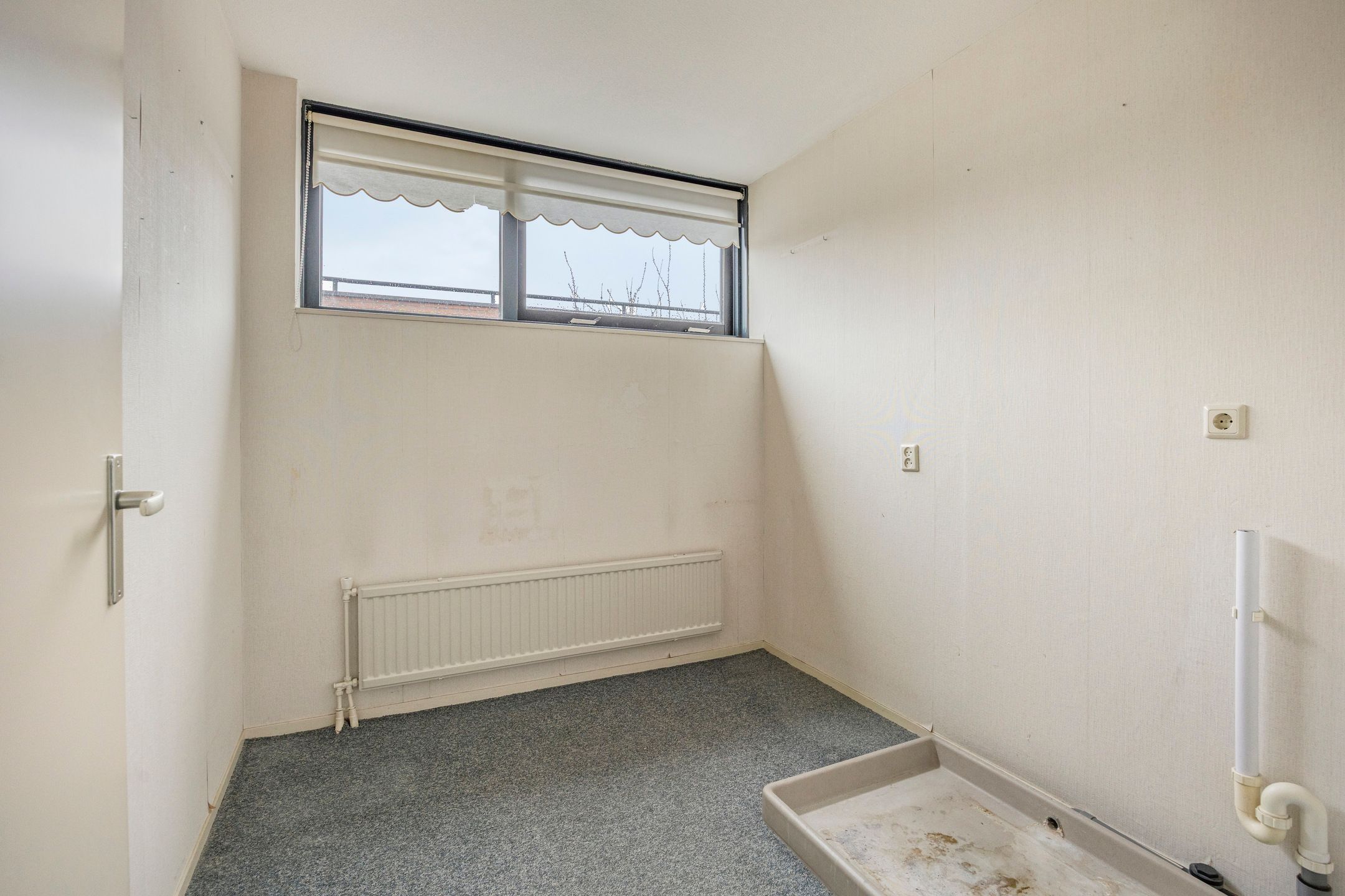 Foto 24 van Goudenregenzoom 184