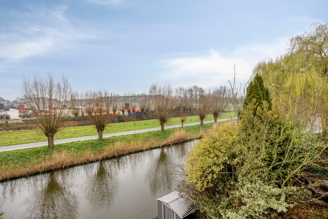 Foto 31 van Goudenregenzoom 184