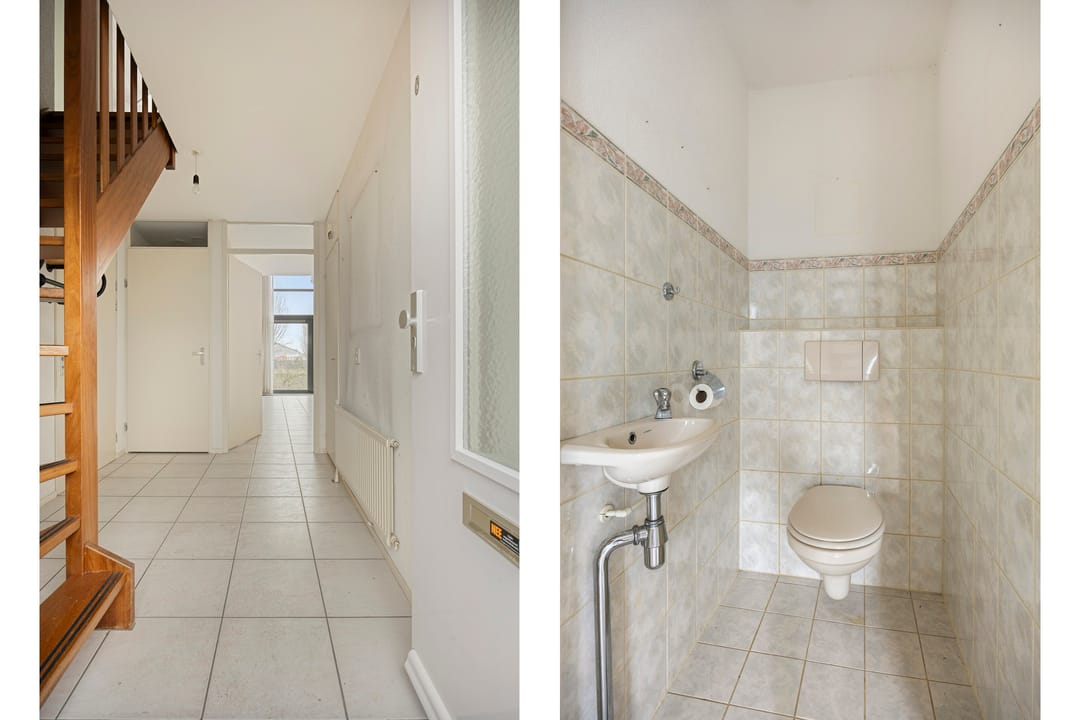 Foto 17 van Goudenregenzoom 184