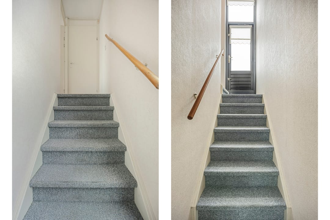 Foto 28 van Goudenregenzoom 184