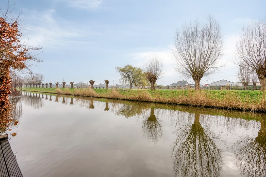 Foto 38 van Goudenregenzoom 184