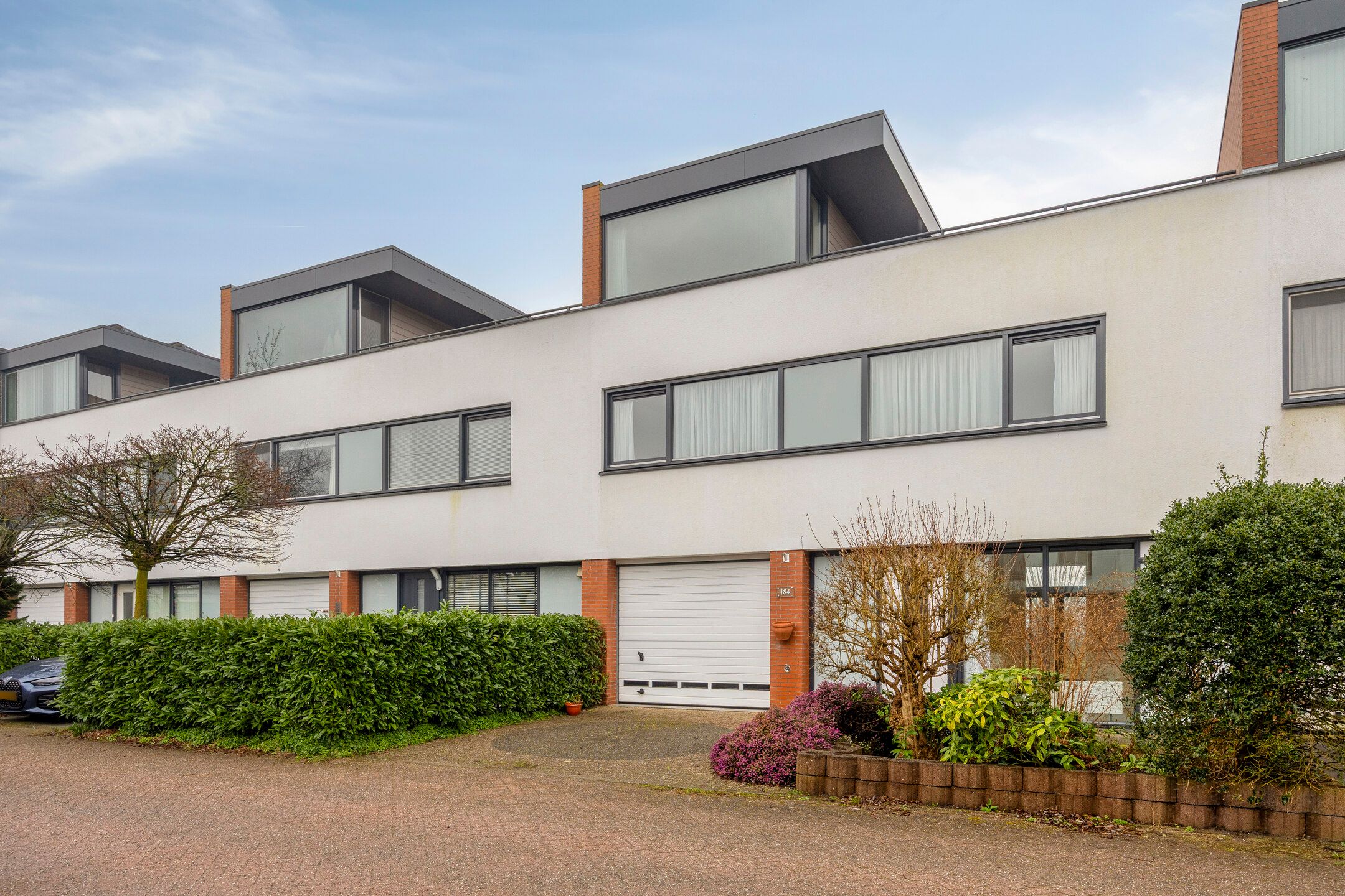 Foto 45 van Goudenregenzoom 184