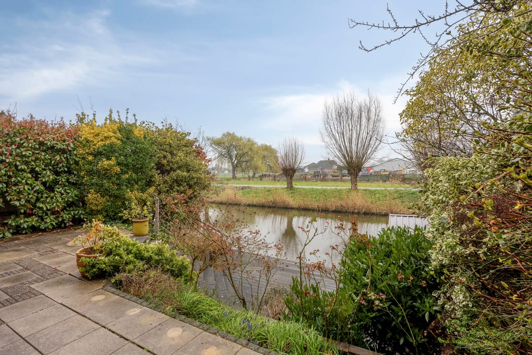 Foto 7 van Goudenregenzoom 184