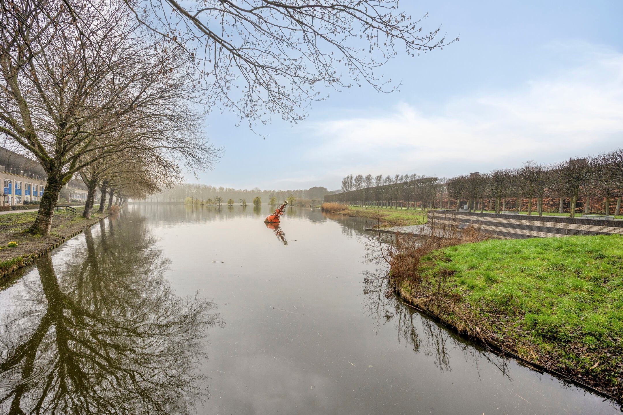 Foto 39 van Goudenregenzoom 184