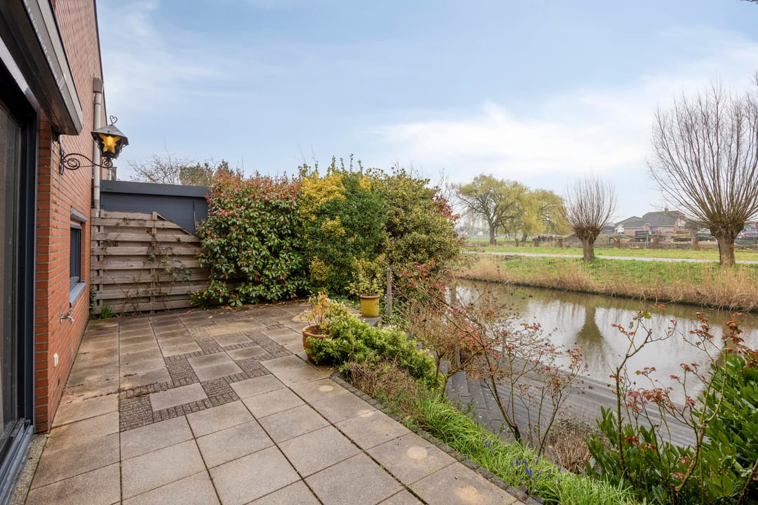 Foto 8 van Goudenregenzoom 184