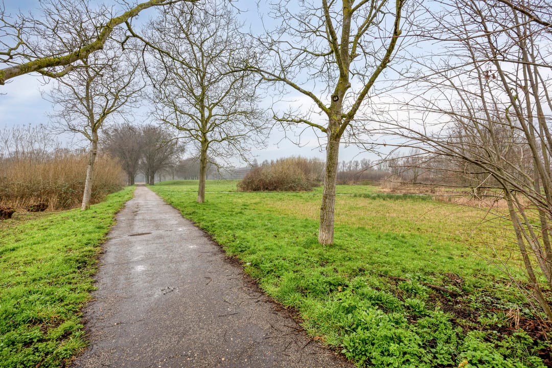 Foto 41 van Goudenregenzoom 184