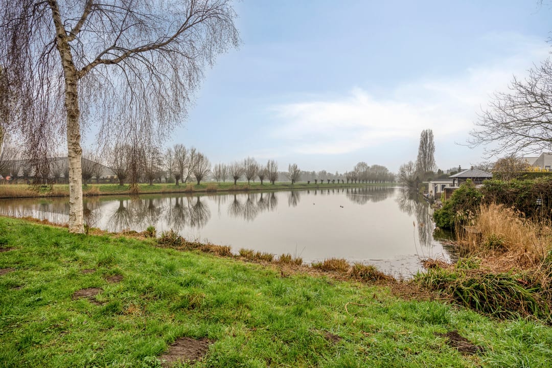 Foto 16 van Goudenregenzoom 184