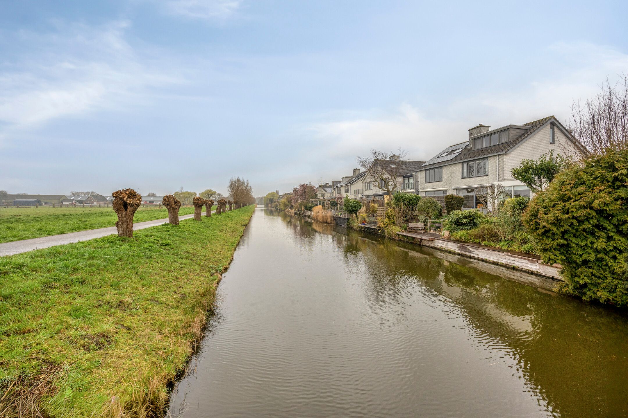 Foto 15 van Goudenregenzoom 184