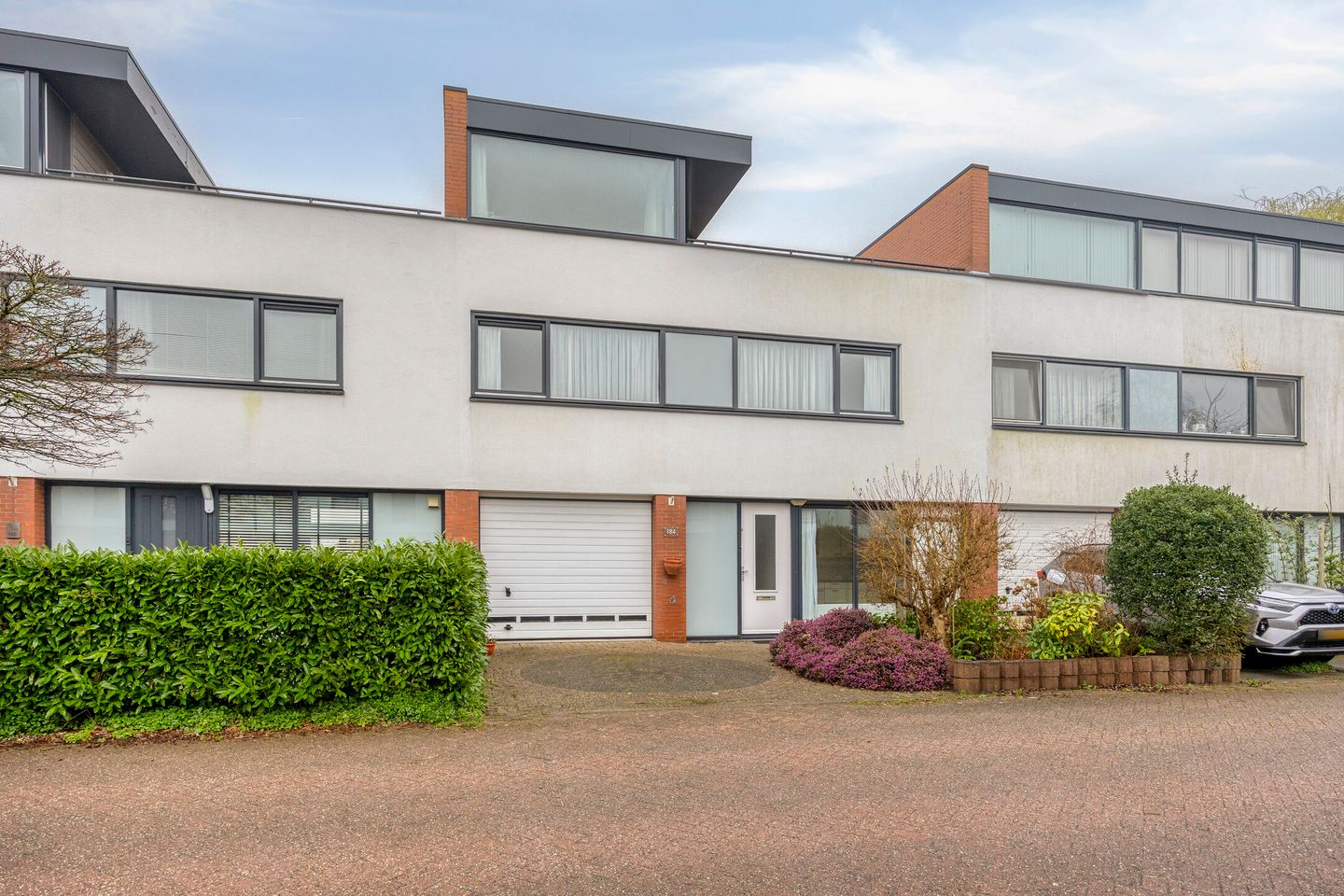 Foto 44 van Goudenregenzoom 184