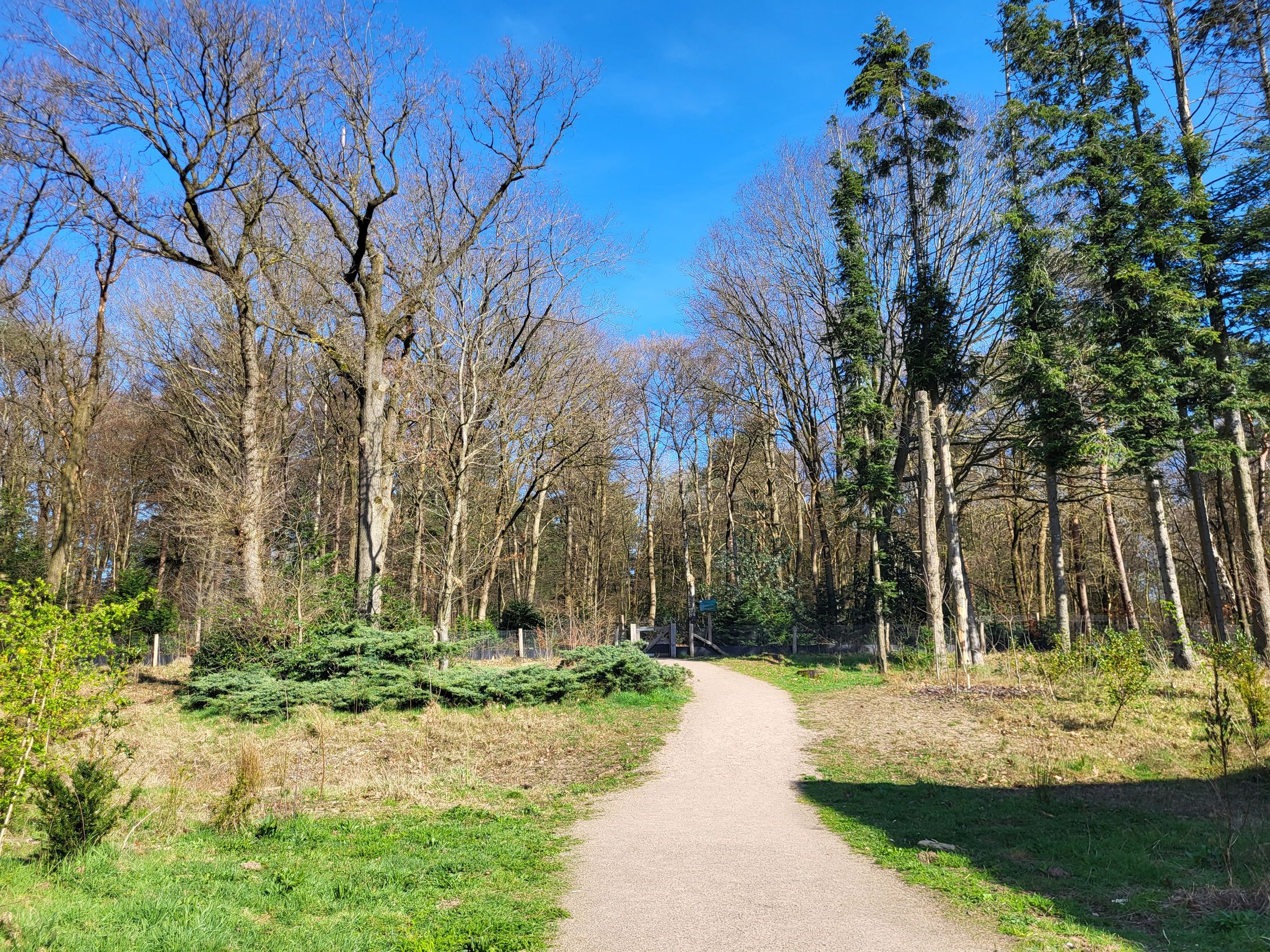 Photo 27 of Bosbeshof 16