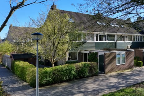 Gouden Regen 17 secondary image