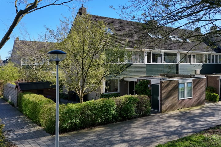 Photo 2 of Gouden Regen 17