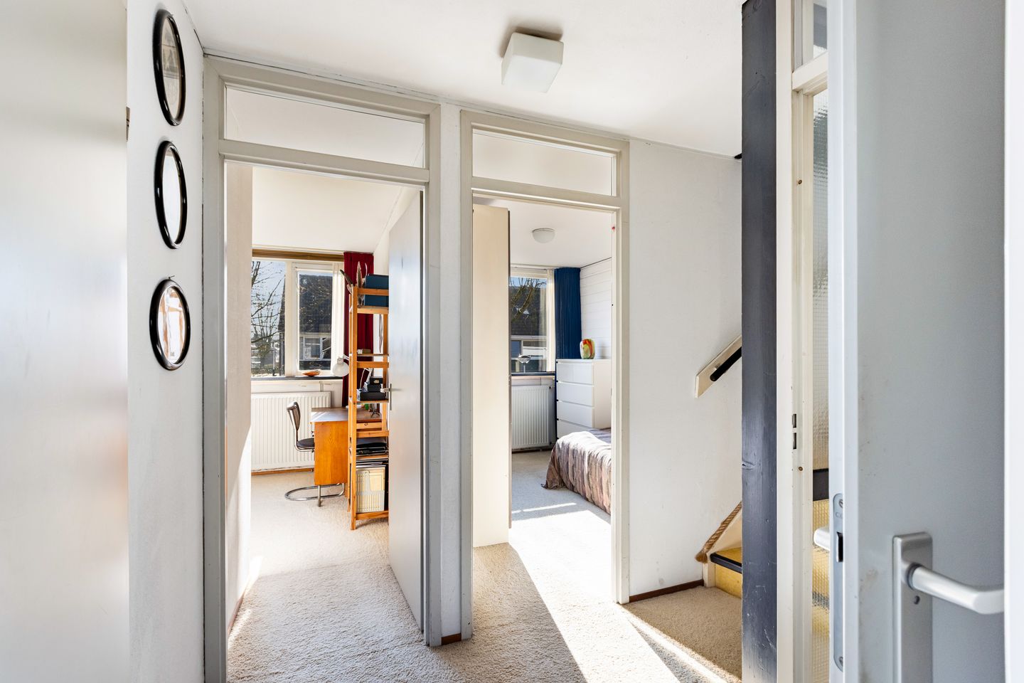 Foto 19 van Gouden Regen 17