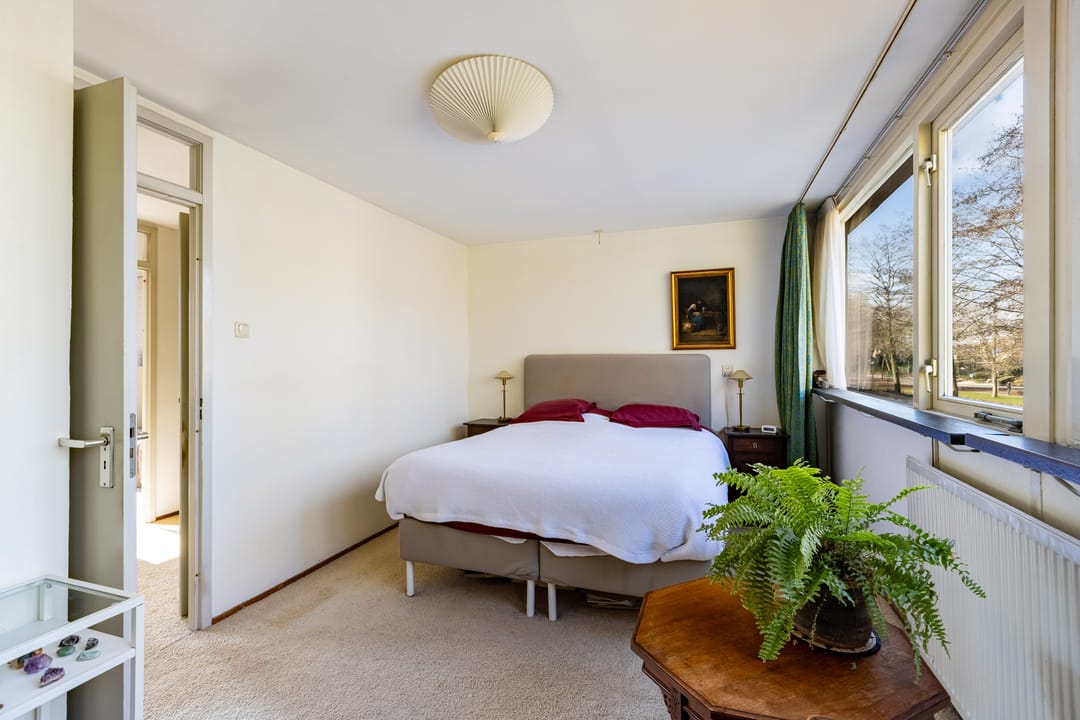 Foto 22 van Gouden Regen 17