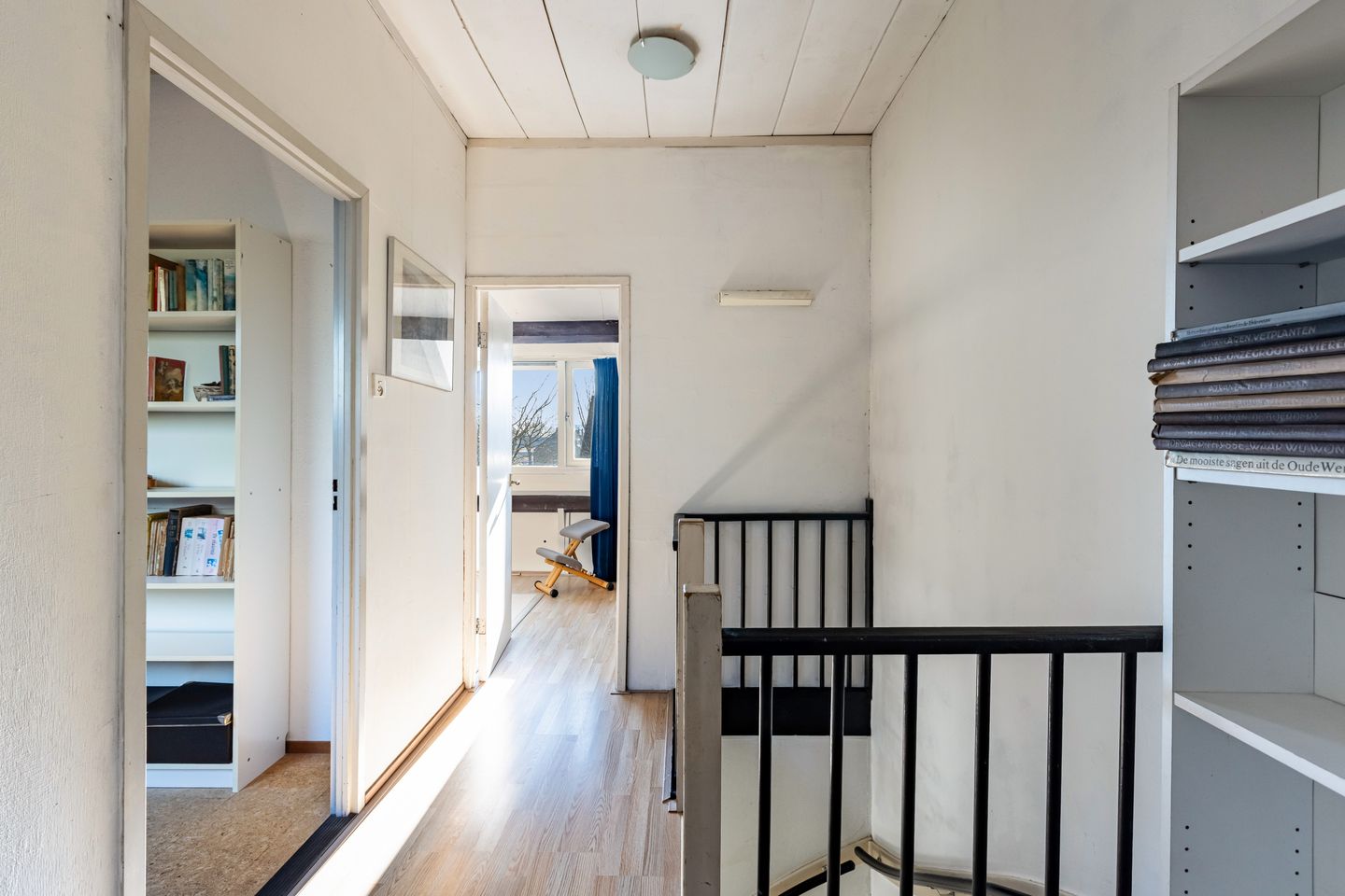 Foto 29 van Gouden Regen 17