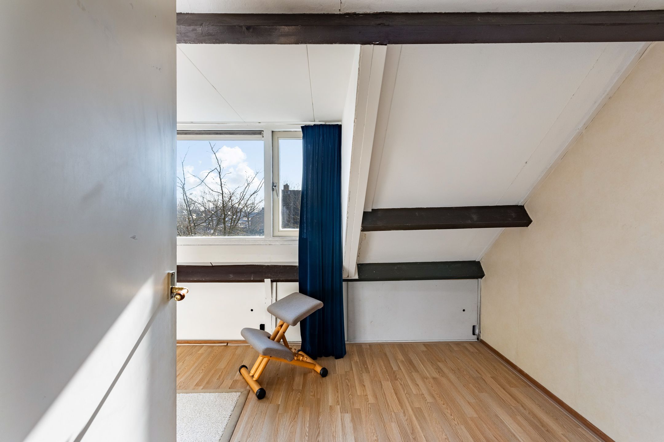 Foto 30 van Gouden Regen 17