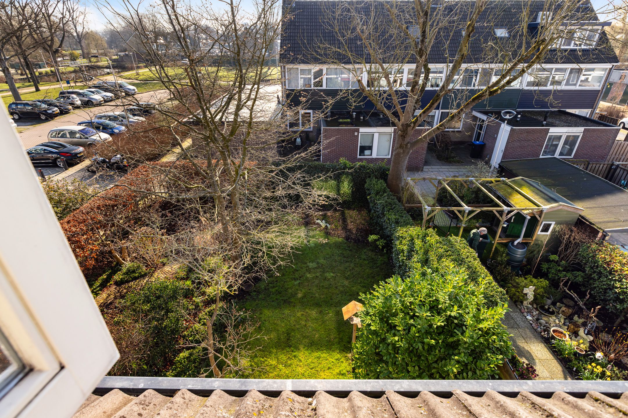 Foto 33 van Gouden Regen 17