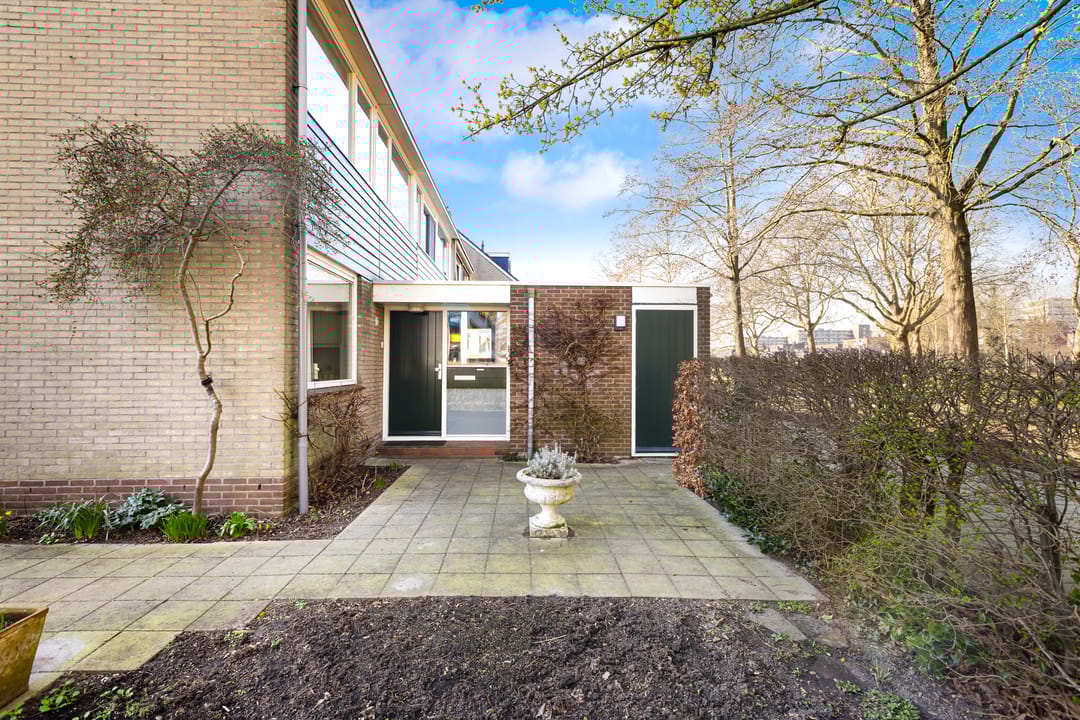 Foto 38 van Gouden Regen 17