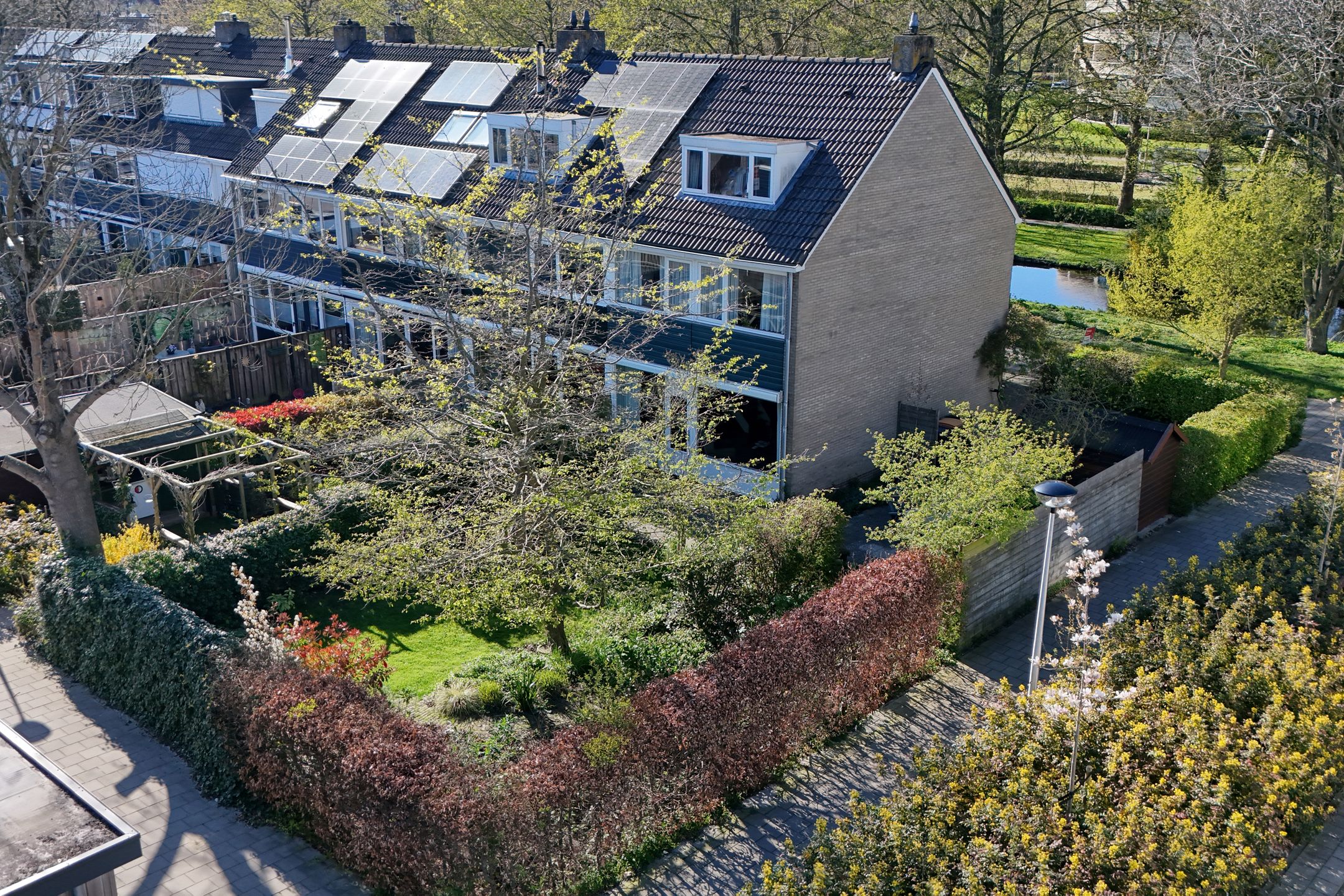 Foto 39 van Gouden Regen 17