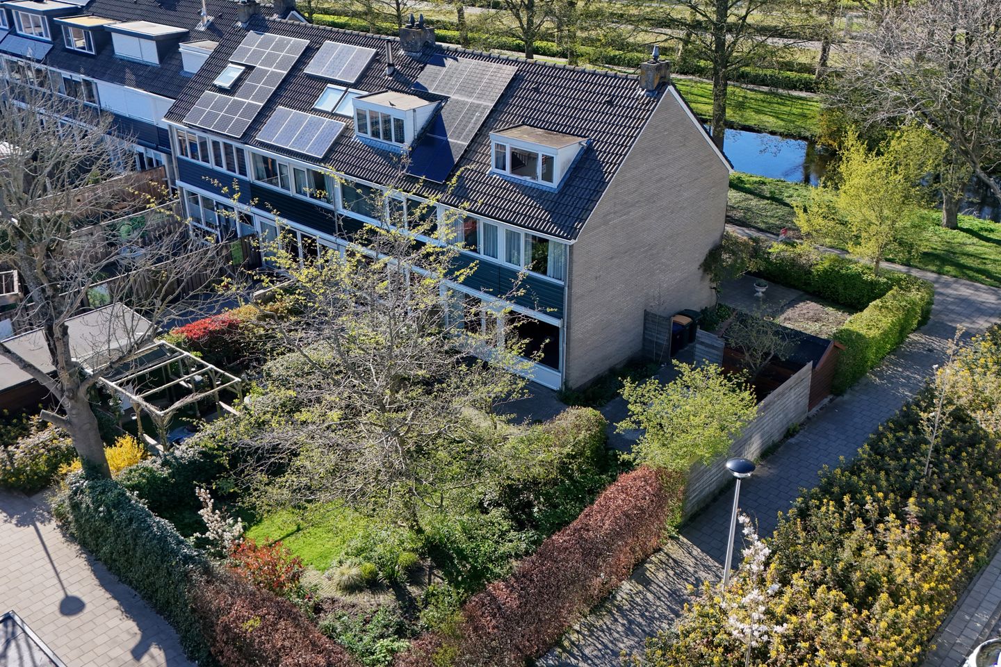 Photo 1 of Gouden Regen 17