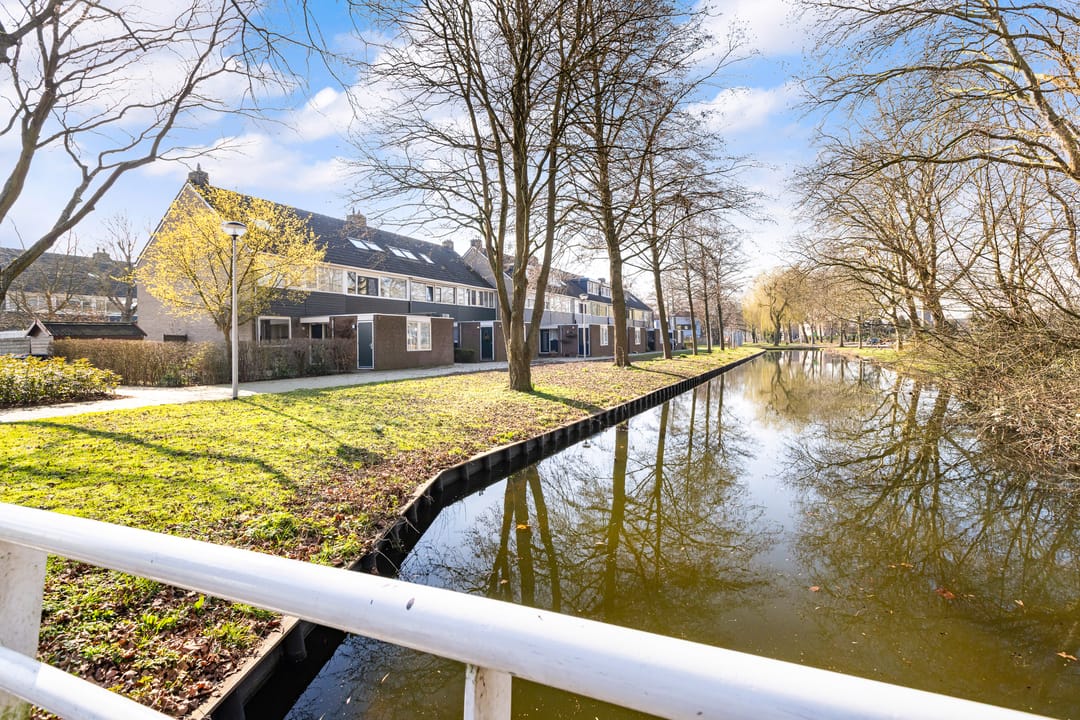 Foto 43 van Gouden Regen 17