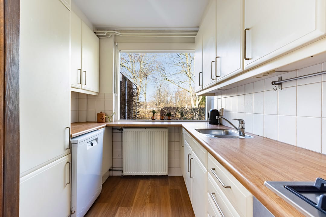 Foto 17 van Gouden Regen 17