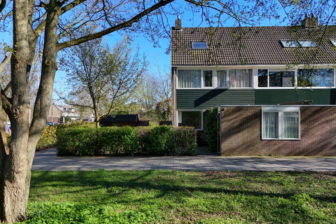 Foto 41 van Gouden Regen 17