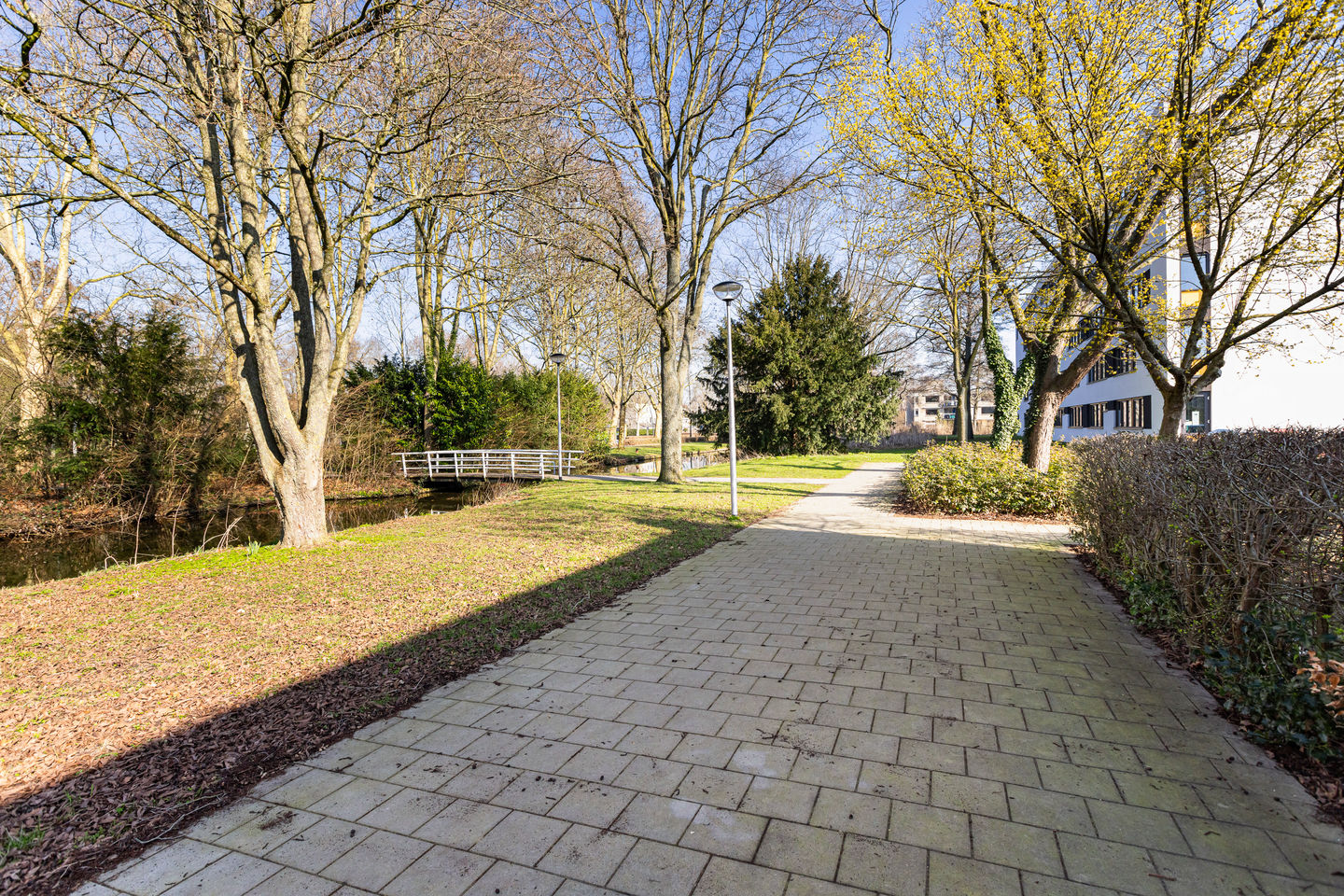 Foto 44 van Gouden Regen 17